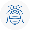 Bed Bug Extermination In Coalville